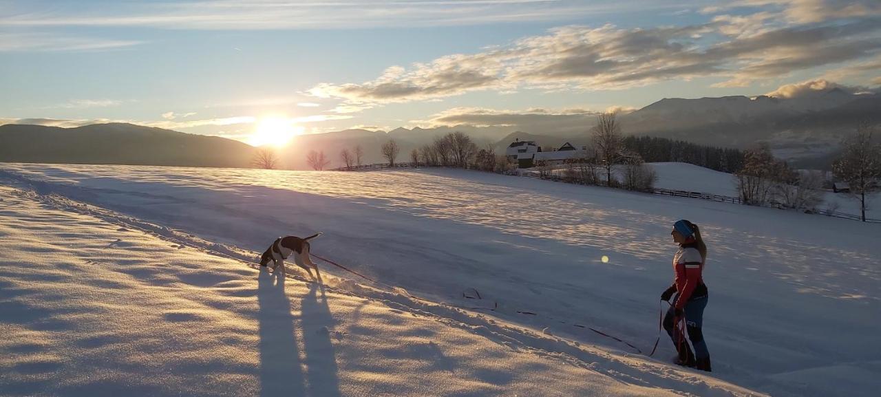 Apartmán Schweizer Hof Tamsweg Exteriér fotografie