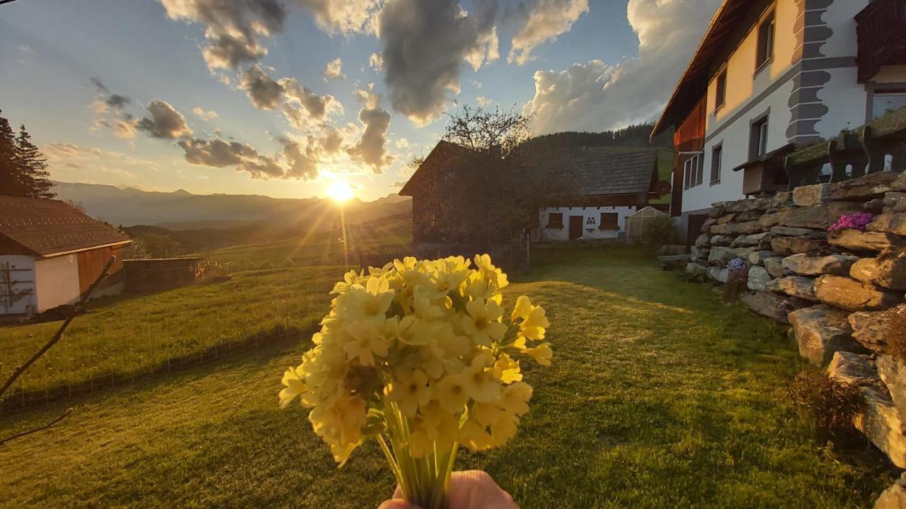 Apartmán Schweizer Hof Tamsweg Exteriér fotografie